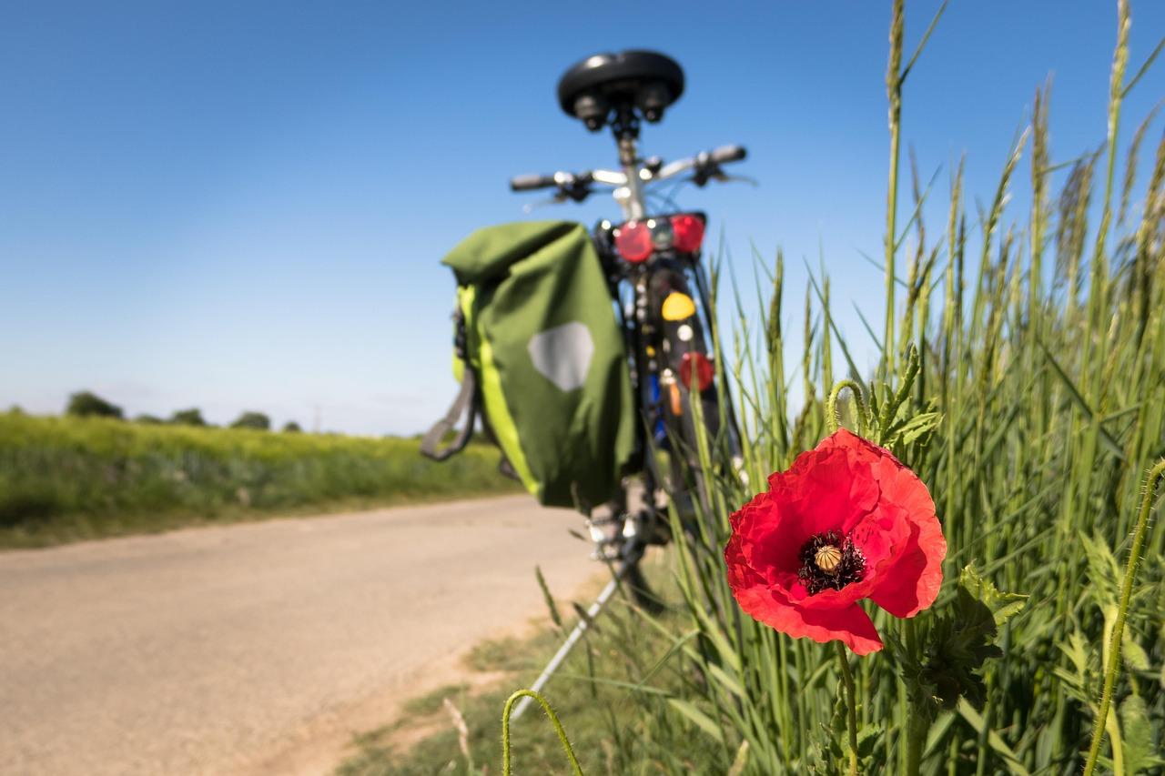 Un vélo électrique garé dans un champ de fleurs
